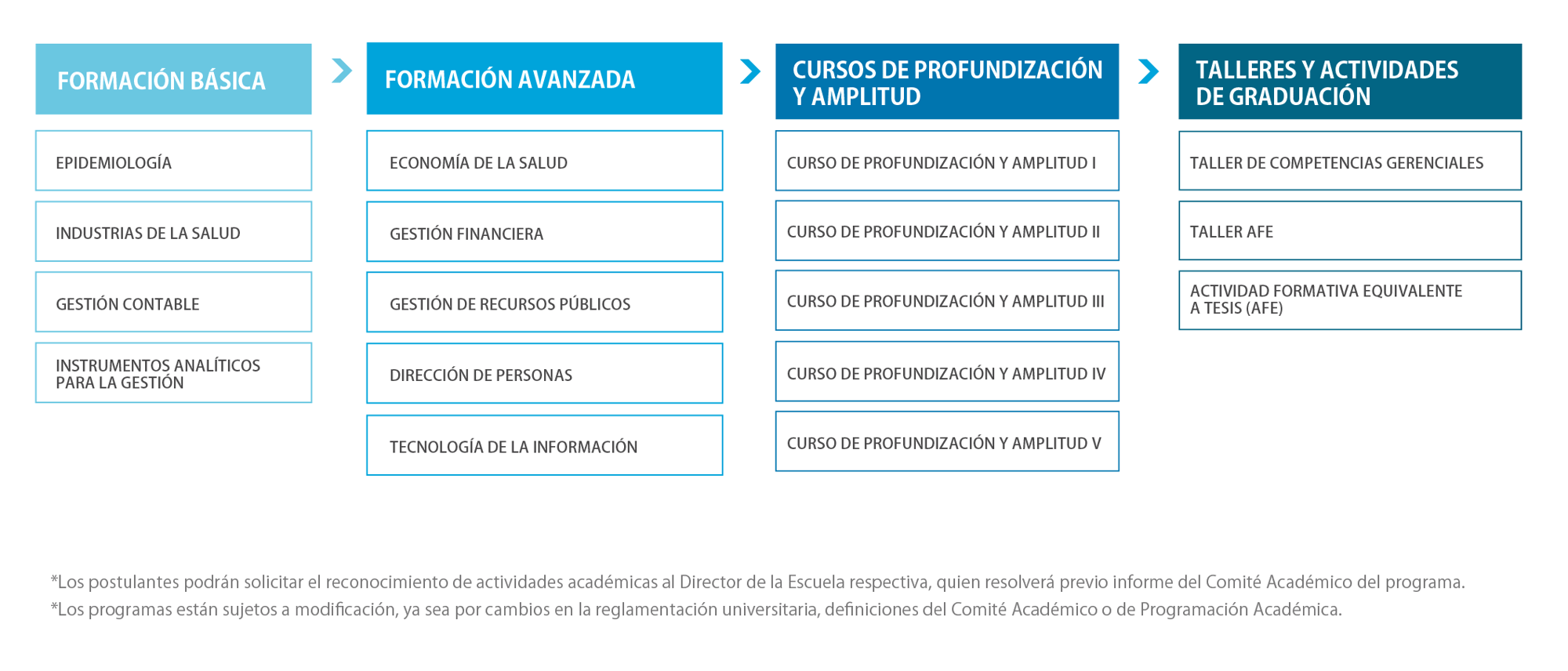 Malla_Magister en Salud-2024